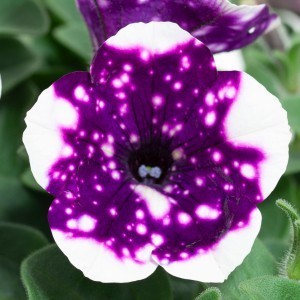 Glacier Sky_300x3002